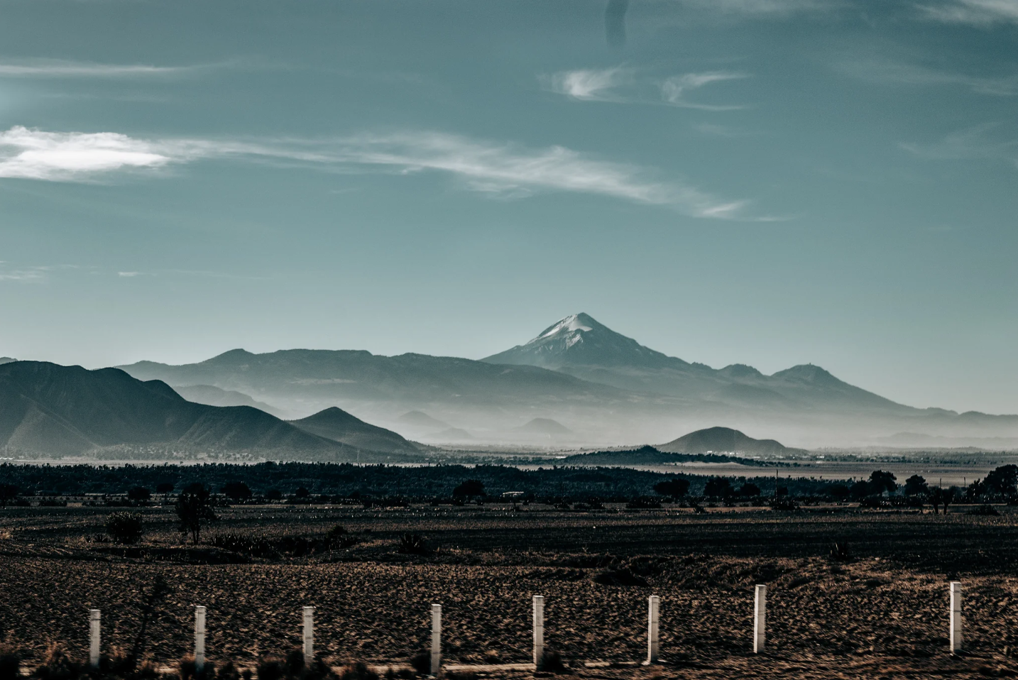 Quetzal Mountain Water Decaf